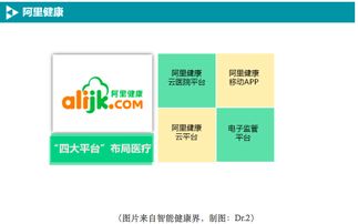 BAT如何布局移動醫(yī)療數(shù)據(jù)處理服務 戰(zhàn)略、技術與未來展望